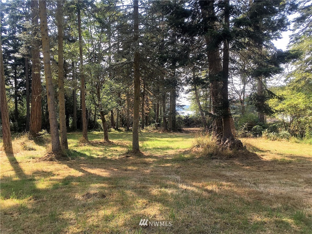 4 Decatur Shores Anacortes, WA 98221 - Photo 7 of 19 a view of a yard with a tree