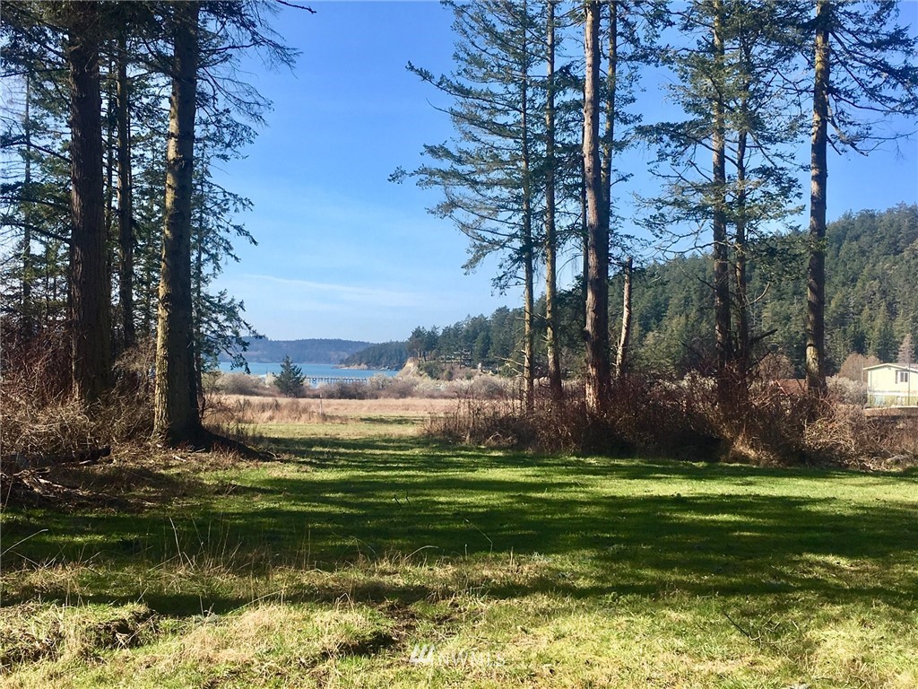 4 Decatur Shores Anacortes, WA 98221 - Photo 10 of 19 a backyard of a house with lots of green space