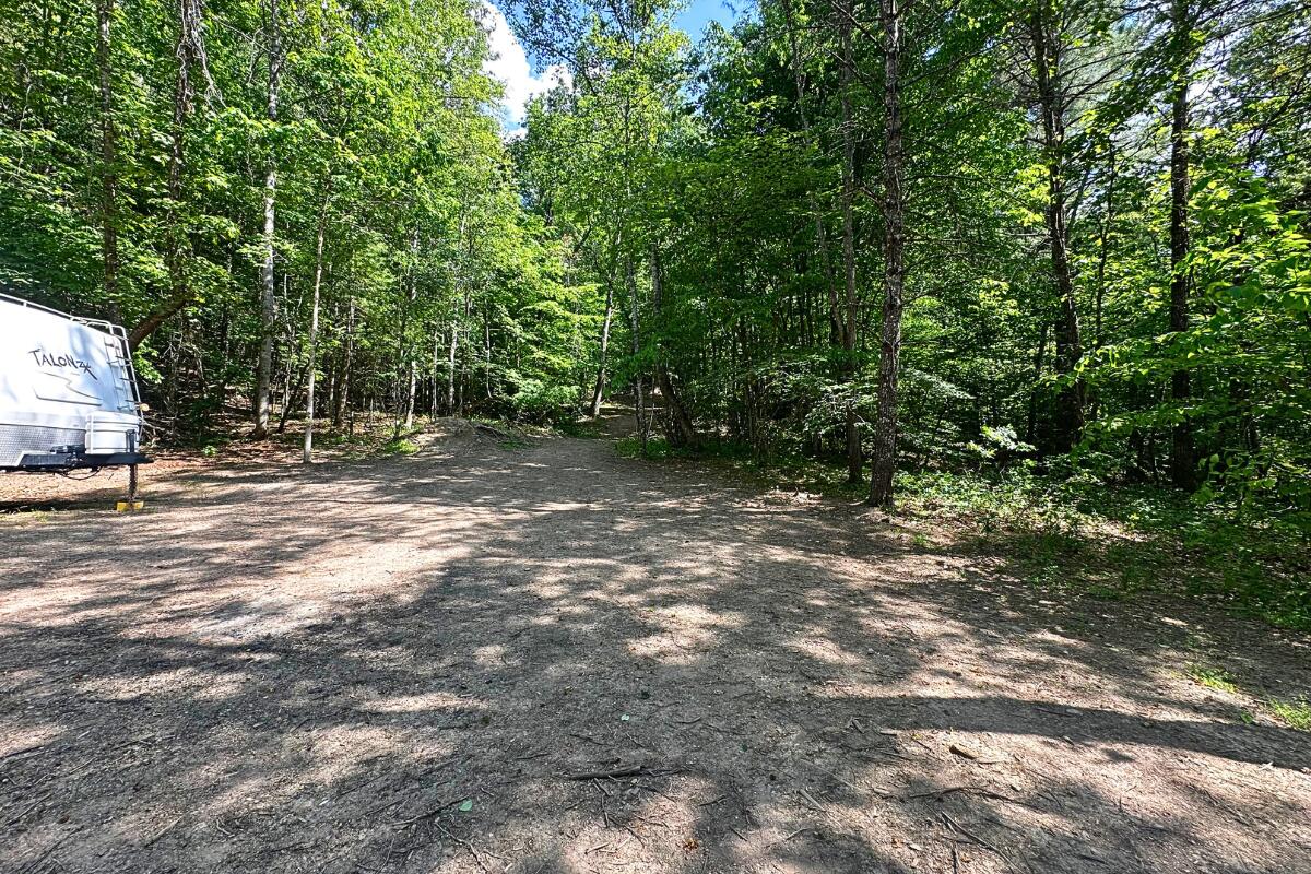 3994 Yates Road Shawsville, VA 24162 - Photo 22 of 40 land for sale in shawsville va 6