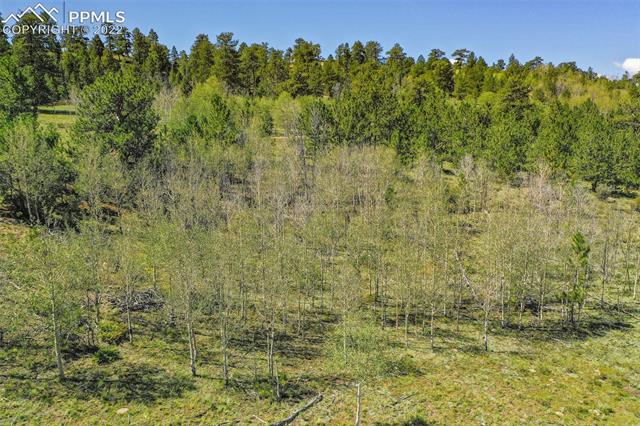 1043 Atoka Road Hartsel, CO 80449 - Photo 1 of 28 Gallery Image 1