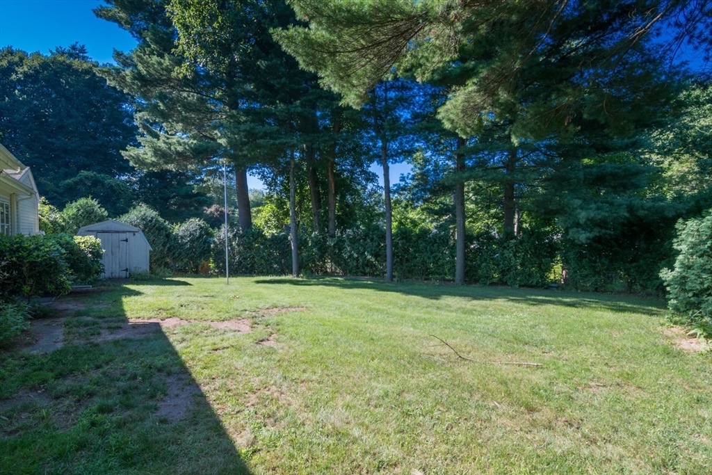 63 Tinkham Road Springfield, MA 01129 - Photo 20 of 22 Gallery Image 20