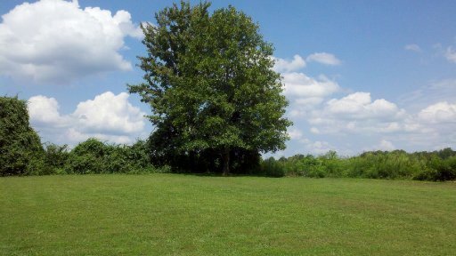 177 Bruce Road Crossville, TN 38571 - Photo 8 of 15 Additional Photo