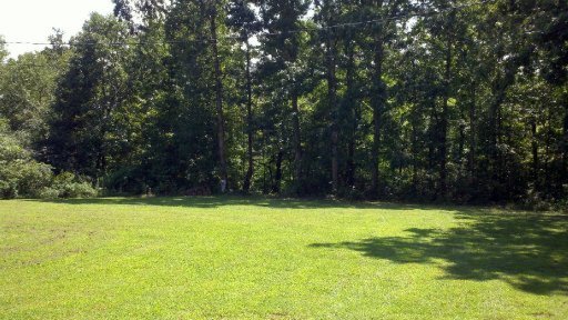 177 Bruce Road Crossville, TN 38571 - Photo 9 of 15 Additional Photo