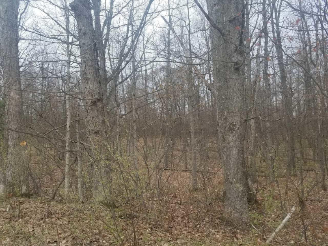 V/l East Yale Road, Unit PAR A Rothbury, MI 49452 - Photo 2 of 22 download (2)