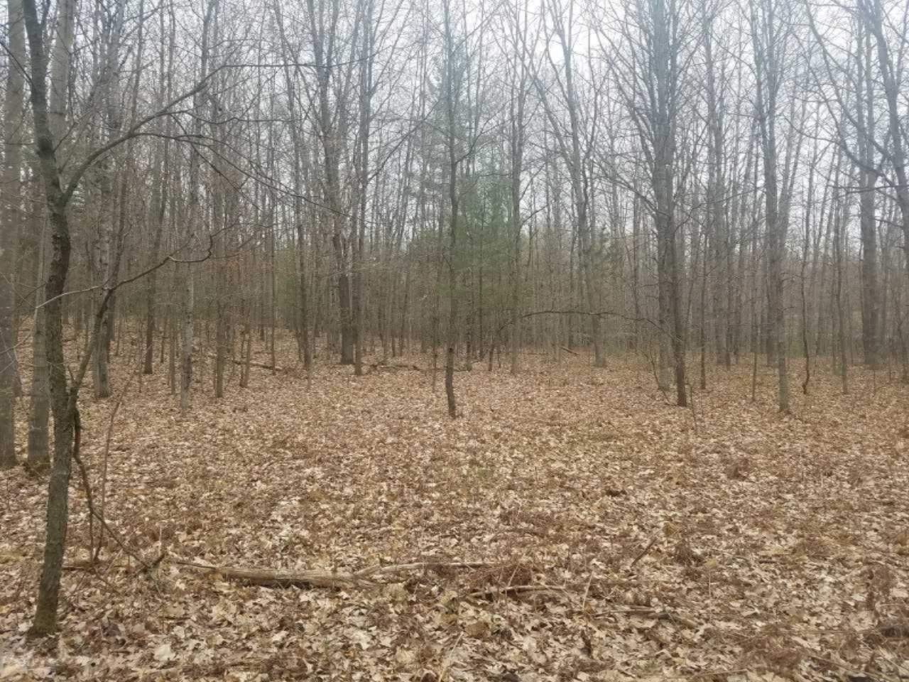 V/l East Yale Road, Unit PAR A Rothbury, MI 49452 - Photo 6 of 22 download (6)