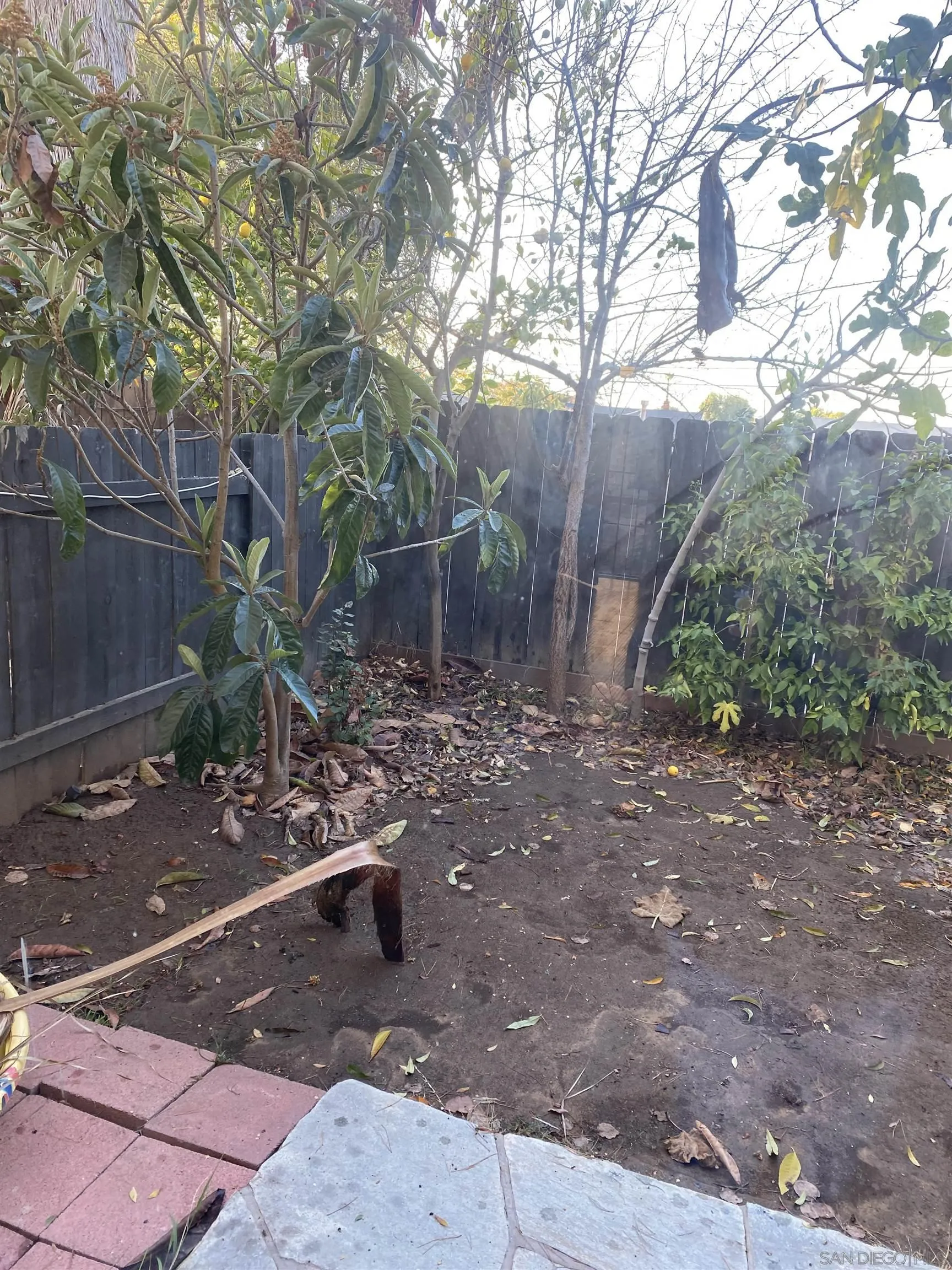 514 Jamacha Road, Unit 24J El Cajon, CA 92019 - Photo 5 of 32 a backyard of a house with lots of green space