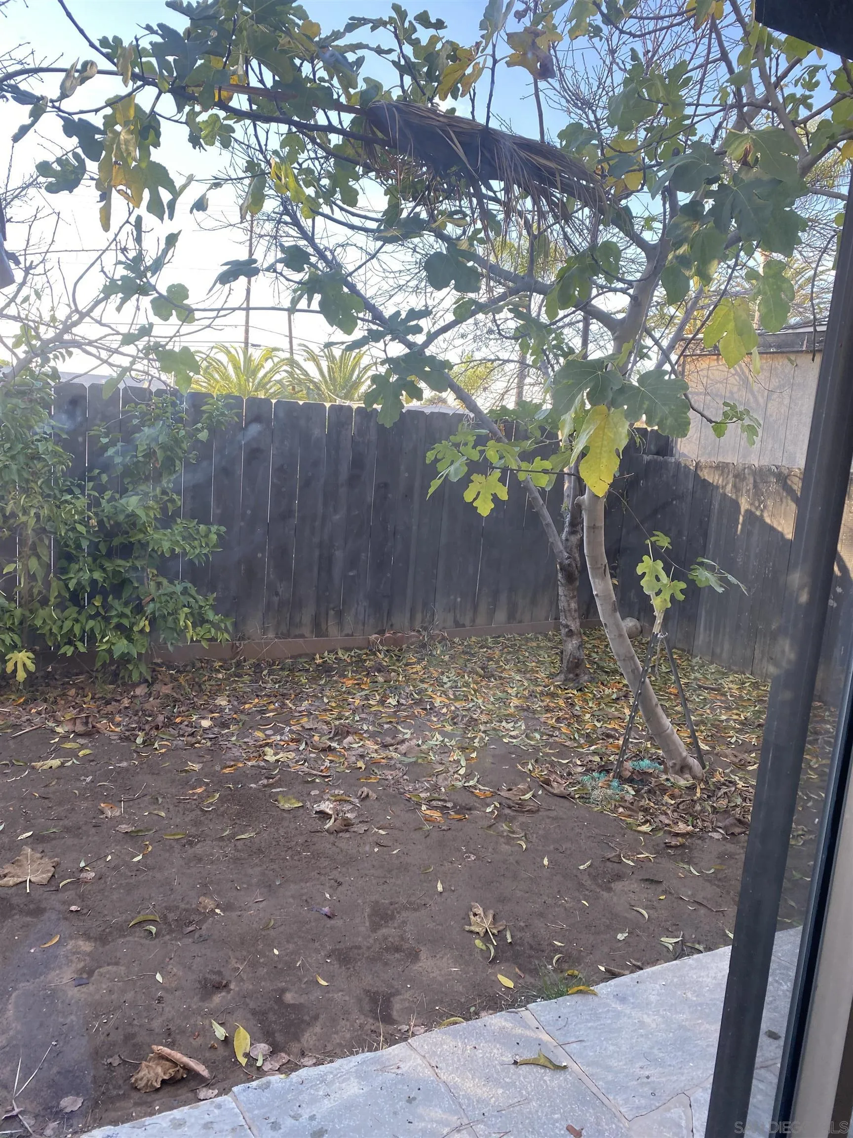 514 Jamacha Road, Unit 24J El Cajon, CA 92019 - Photo 6 of 32 a view of a tree with a yard