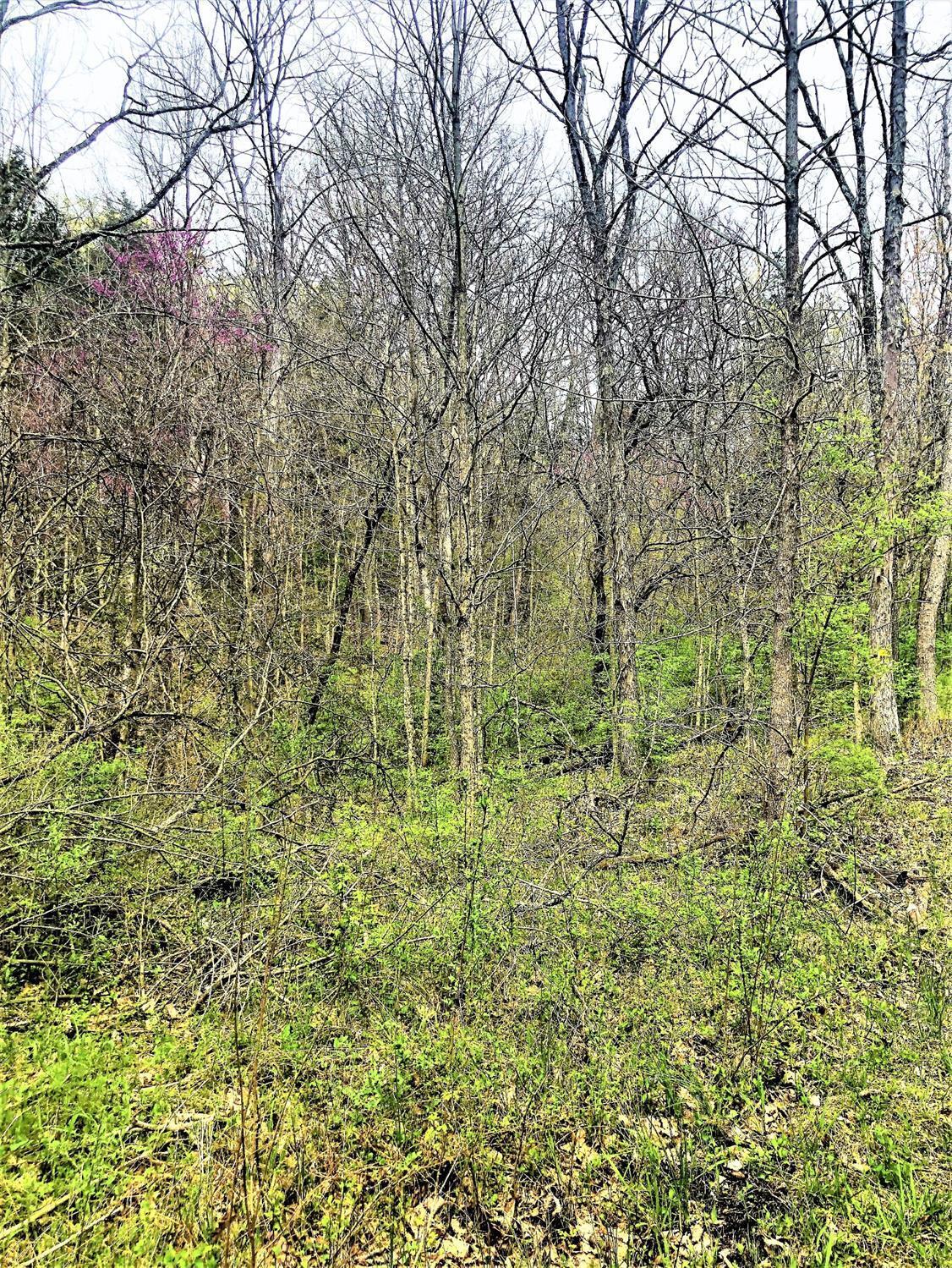 0 Meades Ridge Road Patriot, IN 47038 - Photo 1 of 1