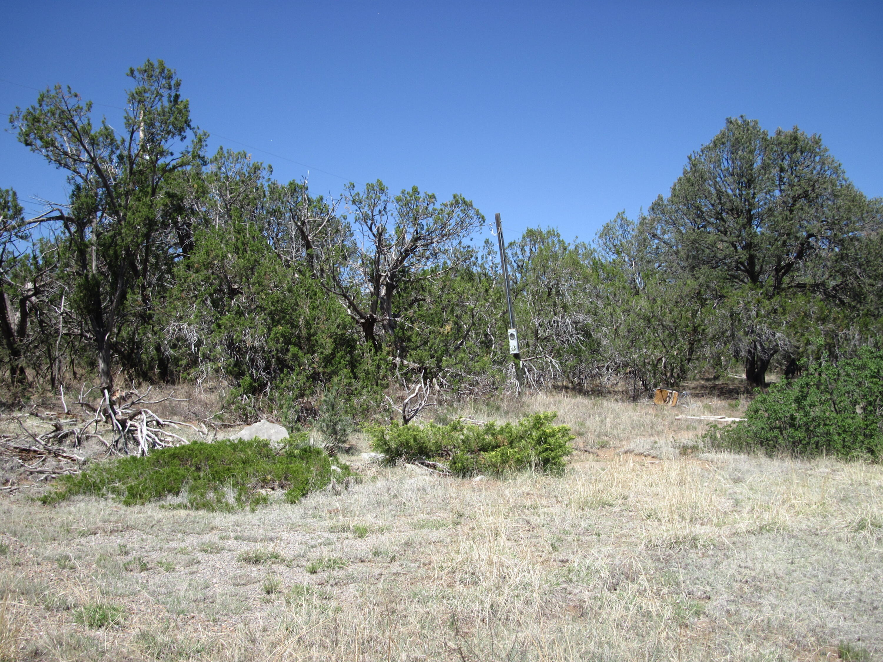 156 Jesse James Road Edgewood, NM 87015 - Photo 13 of 18 Gallery Image 13
