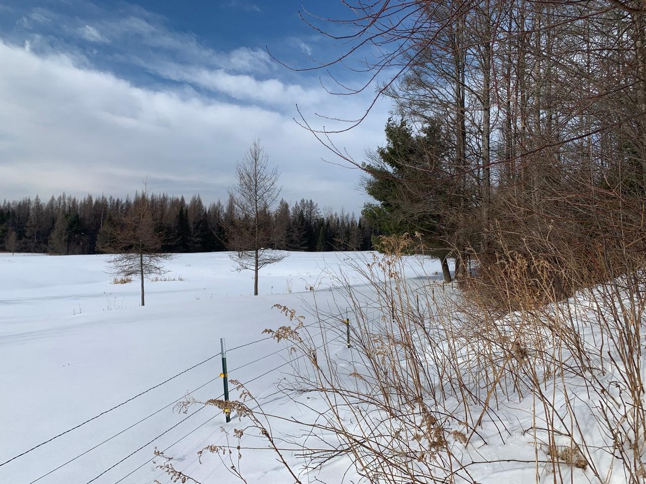 On Kurtz Road Rhinelander, WI 54501 - Photo 5 of 10 Gallery Image 5