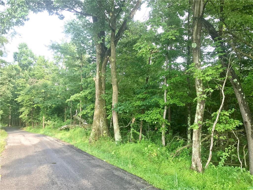0 Palko Road Saltsburg, PA 15681 - Photo 13 of 23 Gallery Image 13