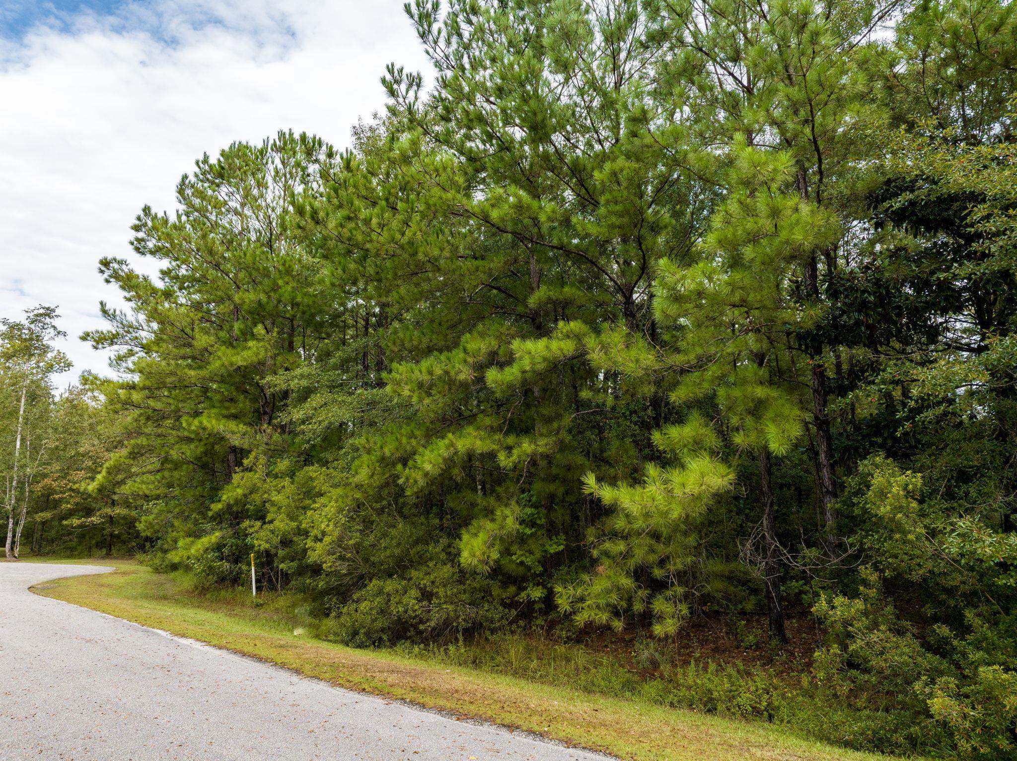 0 Marlin Street Stockton, AL 36579 - Photo 10 of 11