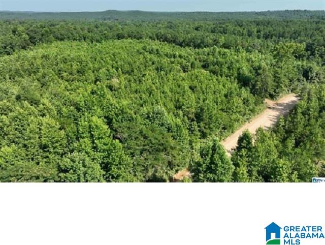 0 County Road 253, Unit 3 Clanton, AL 35046 - Photo 6 of 8