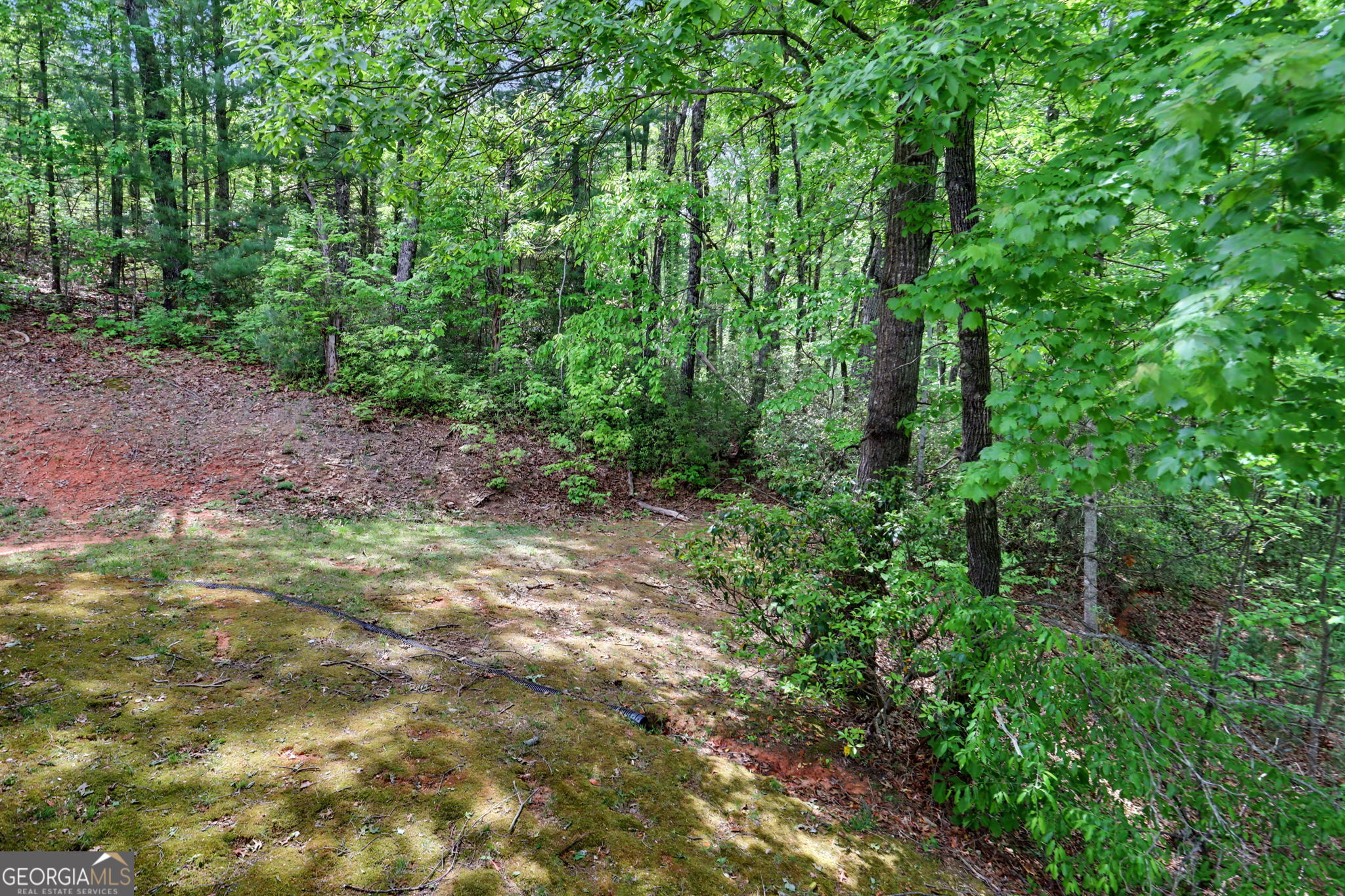 1661 East Boggs Mountain Road Tiger, GA 30576 - Photo 36 of 46