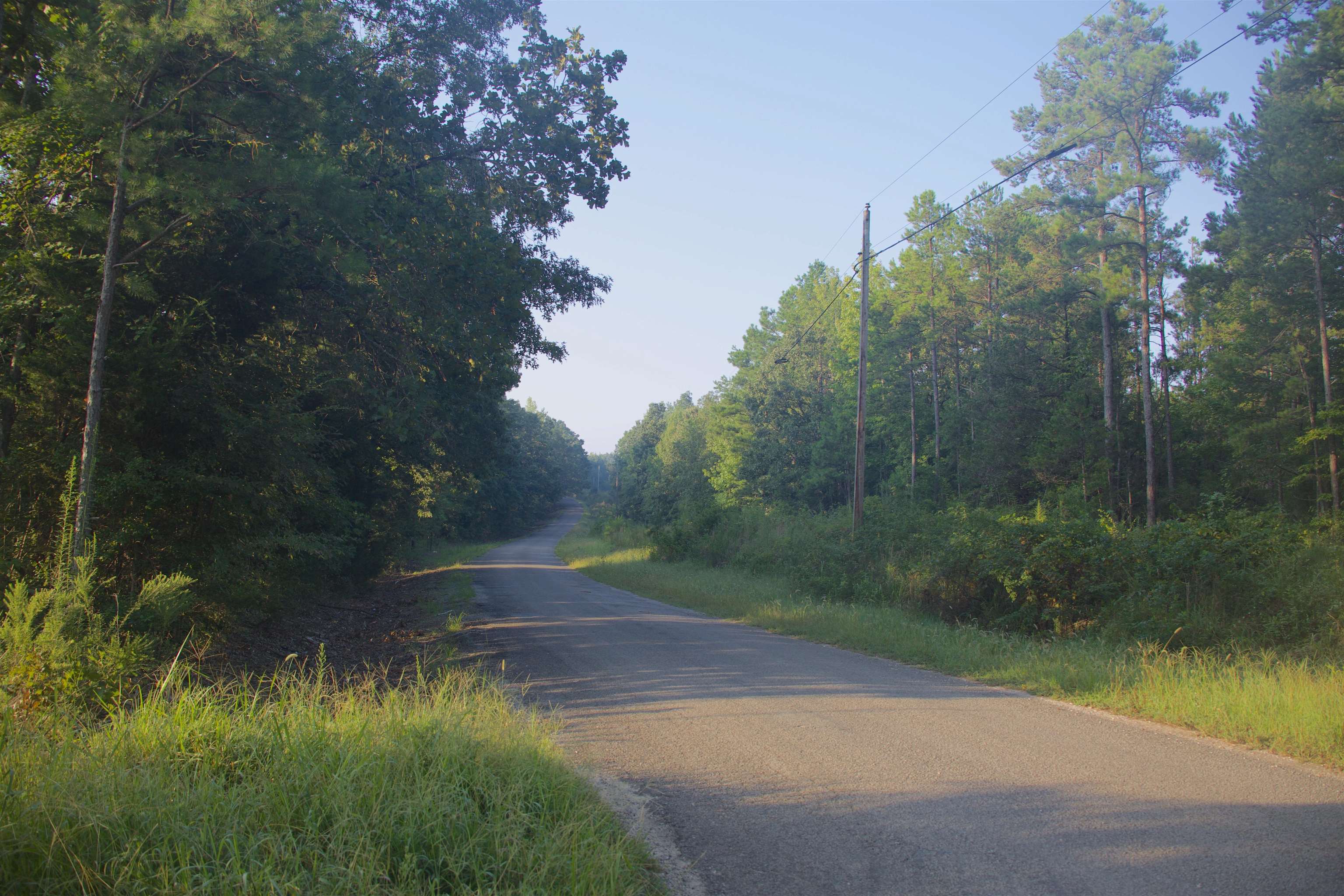 2840 Saulsbury Road Saulsbury, TN 38067 - Photo 16 of 19