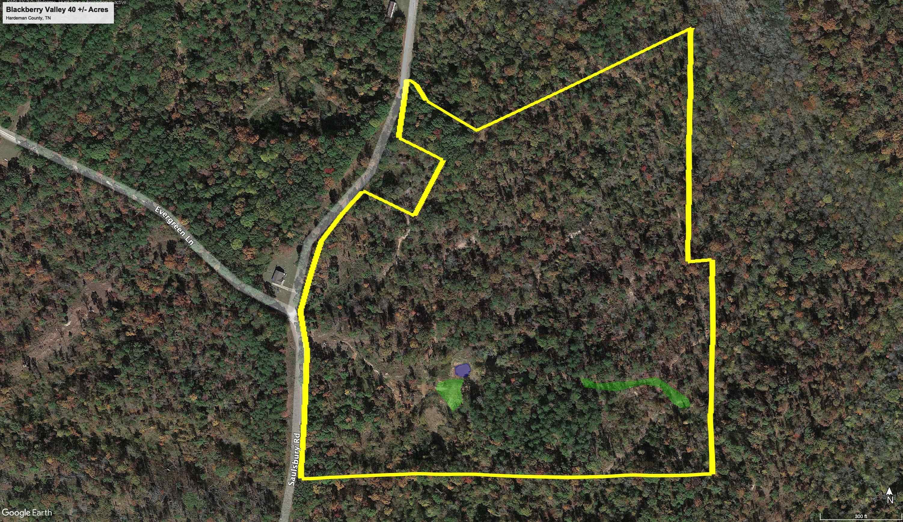 2840 Saulsbury Road Saulsbury, TN 38067 - Photo 17 of 19