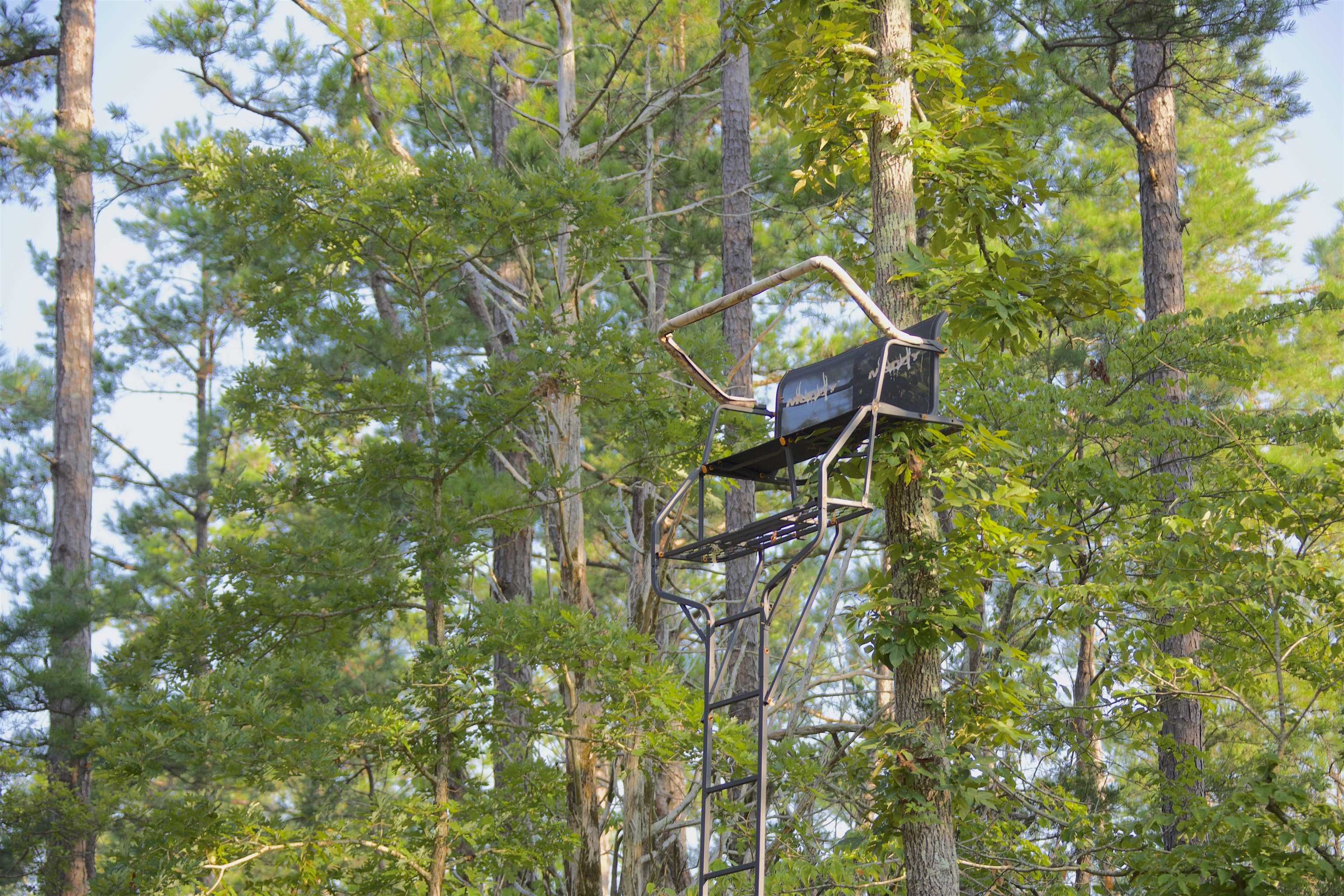 2840 Saulsbury Road Saulsbury, TN 38067 - Photo 6 of 19 a backyard of a house with table and chairs