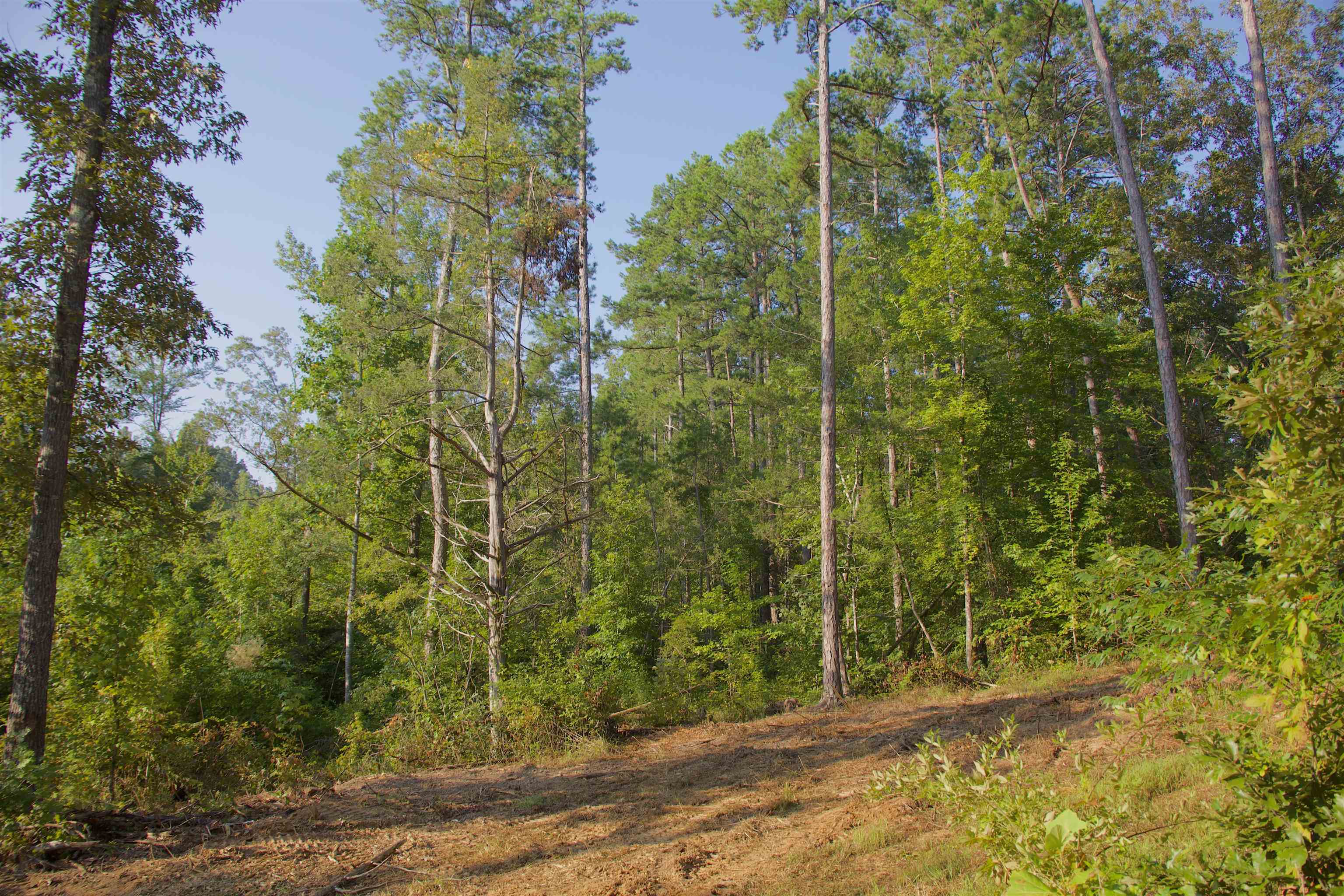 2840 Saulsbury Road Saulsbury, TN 38067 - Photo 7 of 19 a view of a door and an outdoor space