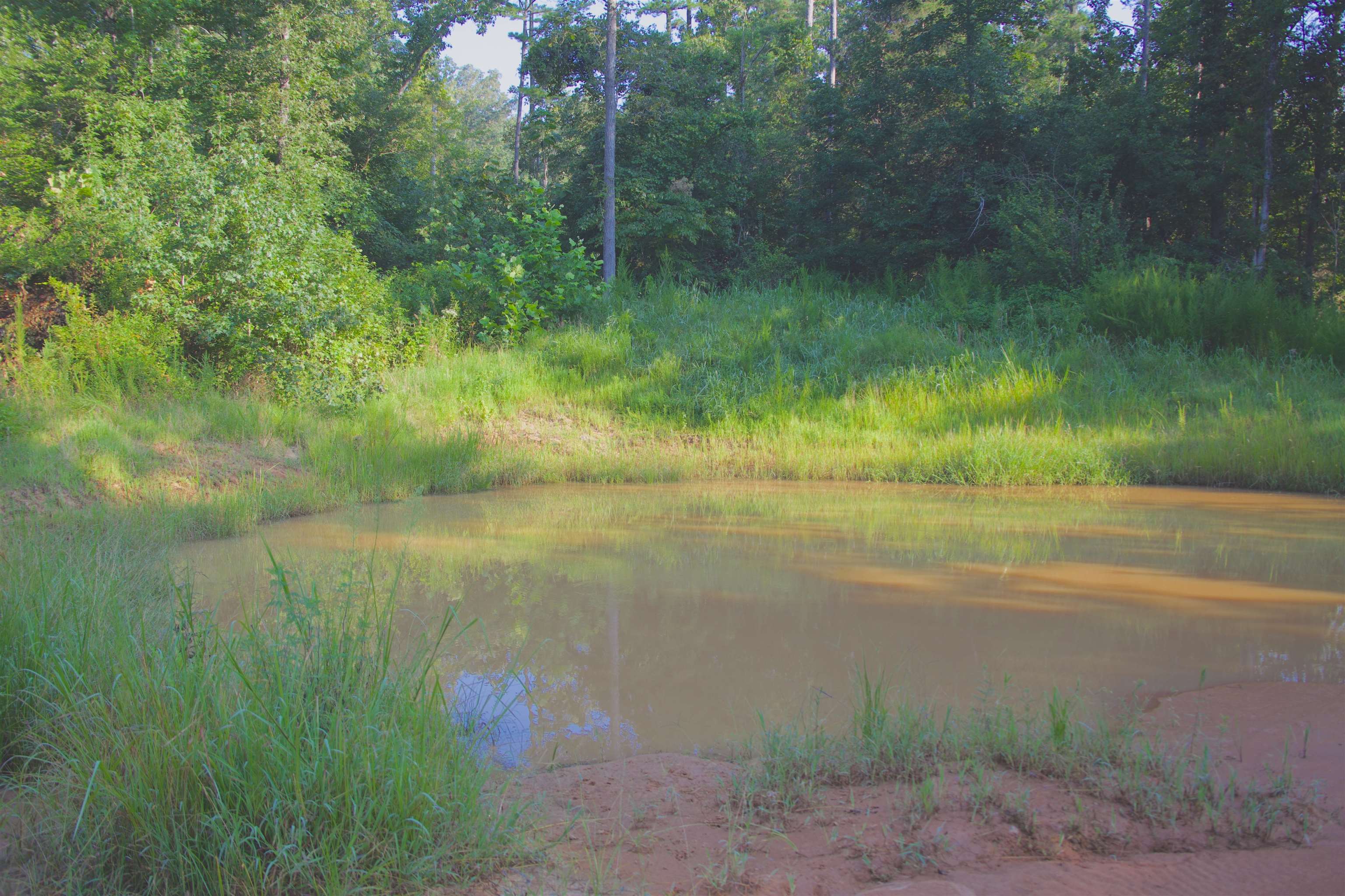 2840 Saulsbury Road Saulsbury, TN 38067 - Photo 8 of 19 a view of a lake from a yard