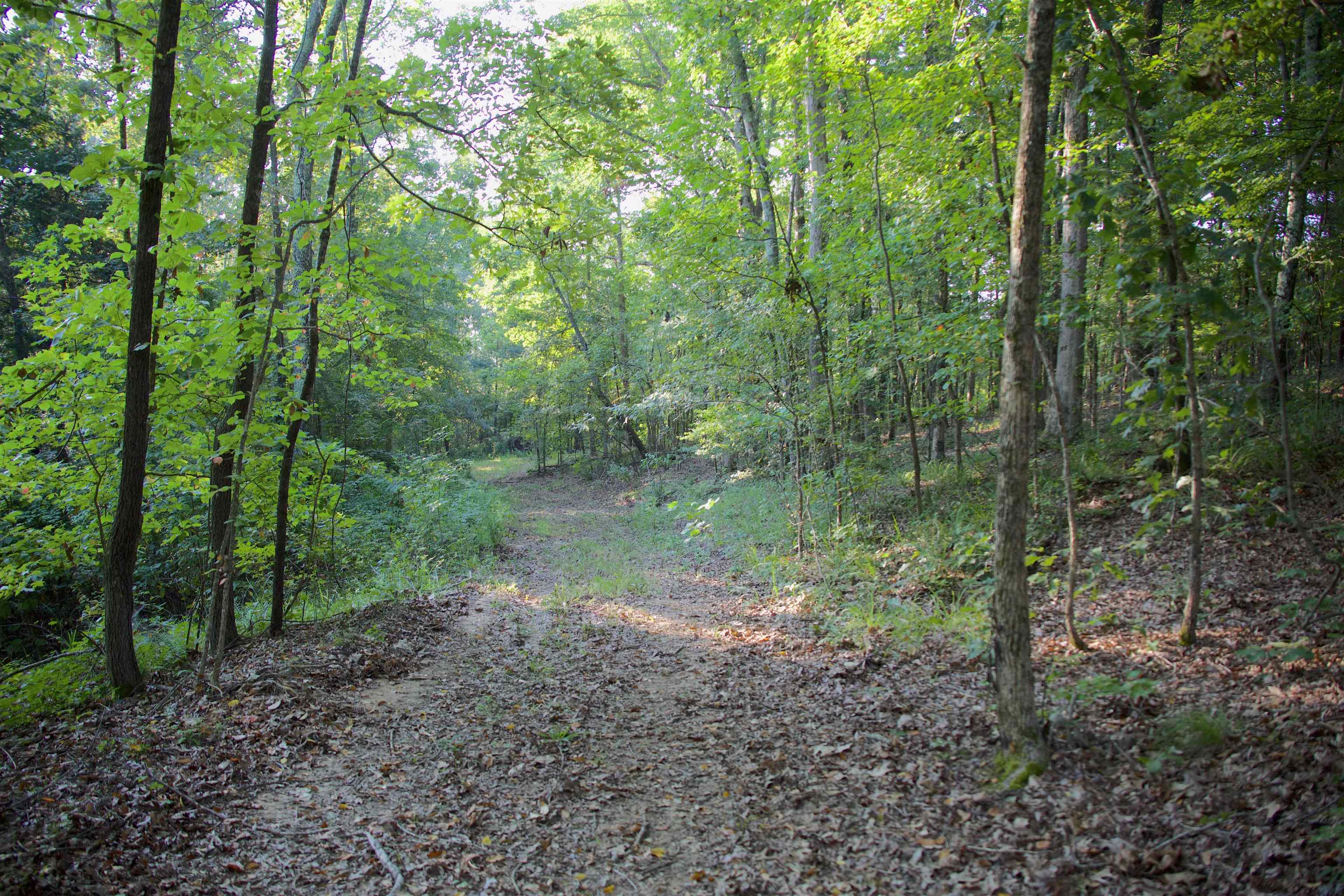 2840 Saulsbury Road Saulsbury, TN 38067 - Photo 9 of 19 a view of a lake with lots of trees