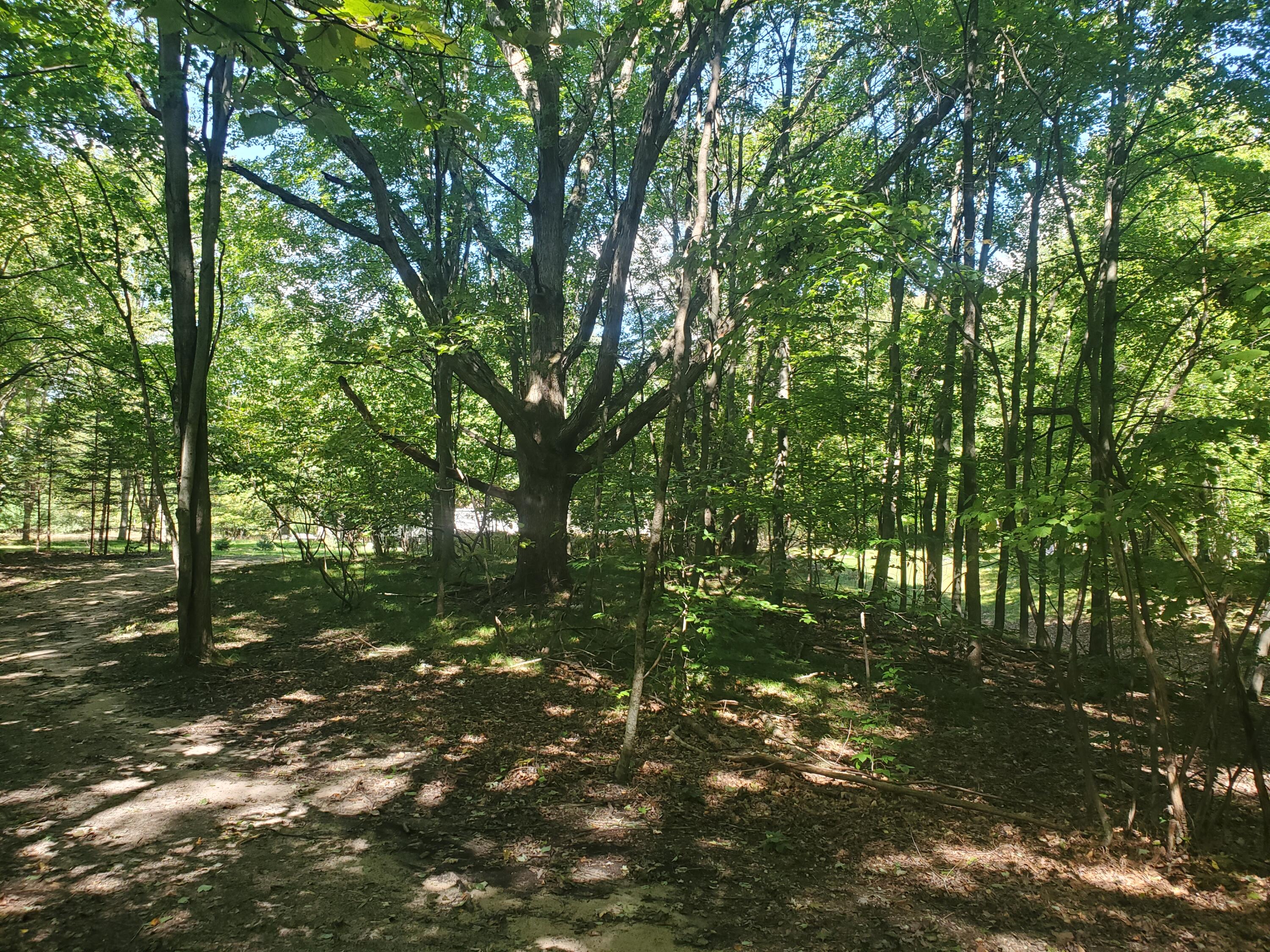 East Buck Rub Road, Unit 119 Custer, MI 49405 - Photo 9 of 11 20210915_131510