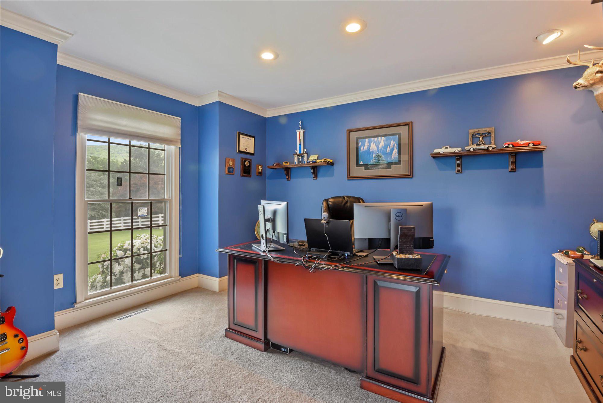 8518 Hollow Road Middletown, MD 21769 - Photo 6 of 38 Private office on the first floor