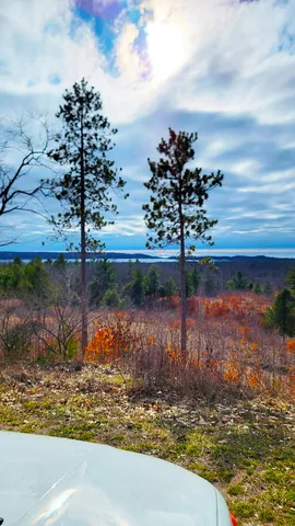 $179,900 | Indigo Trail, Onekama, MI 49675