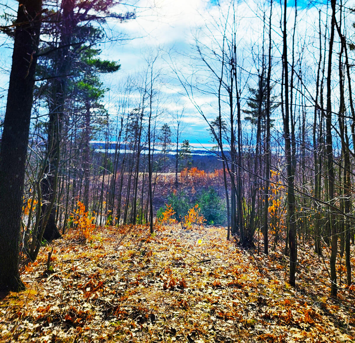 Indigo Trail Onekama, MI 49675 - Photo 13 of 21 20240307_154643