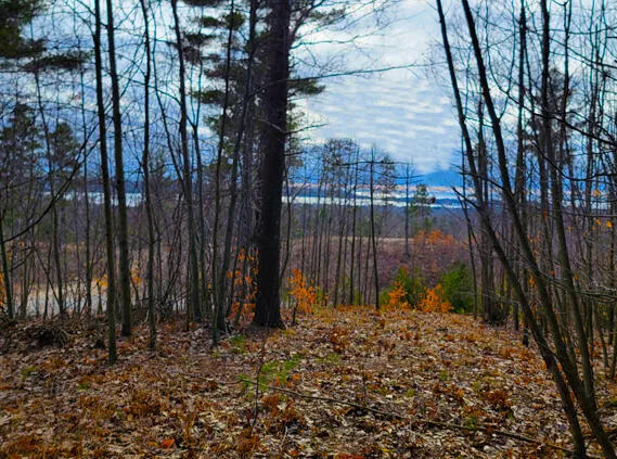 $179,900 | Indigo Trail, Onekama, MI 49675