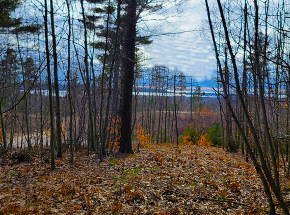 Indigo Trail Onekama, MI 49675 - Photo 14 of 21 20240307_154851