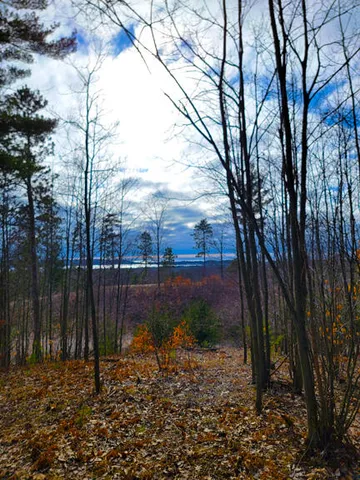 $179,900 | Indigo Trail, Onekama, MI 49675