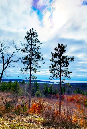 $179,900 | Indigo Trail, Onekama, MI 49675