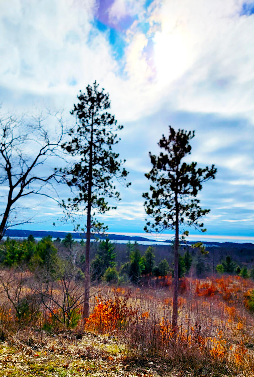 Indigo Trail Onekama, MI 49675 - Photo 17 of 21 North Close Up