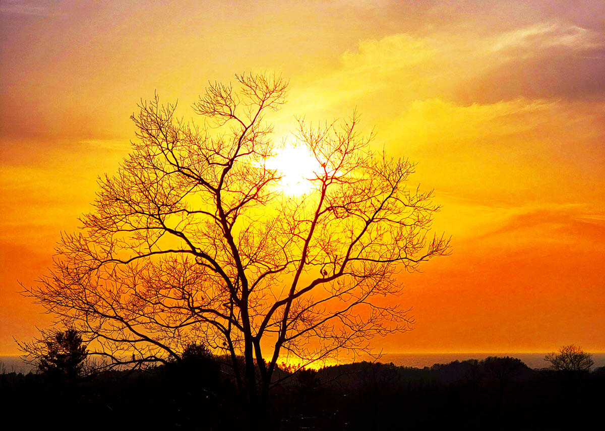 Indigo Trail Onekama, MI 49675 - Photo 19 of 21 20240311_190603