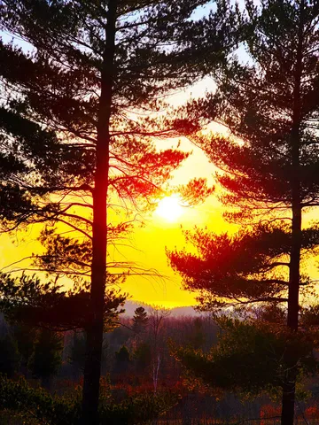 $179,900 | Indigo Trail, Onekama, MI 49675