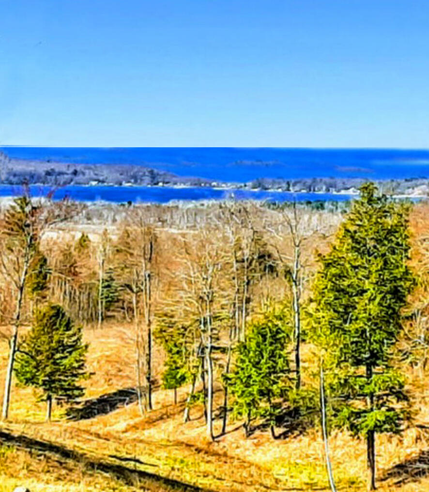 Indigo Trail Onekama, MI 49675 - Photo 3 of 21 Aerial1