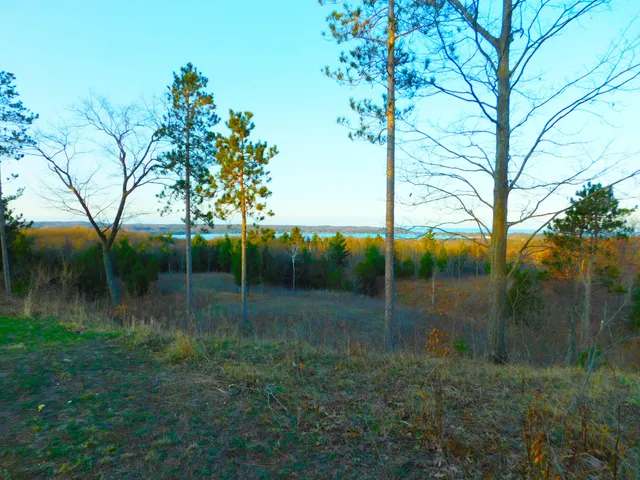 $179,900 | Indigo Trail, Onekama, MI 49675