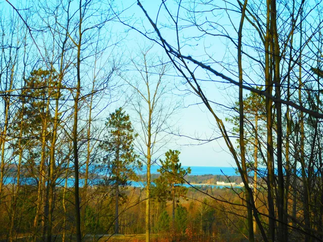 $179,900 | Indigo Trail, Onekama, MI 49675