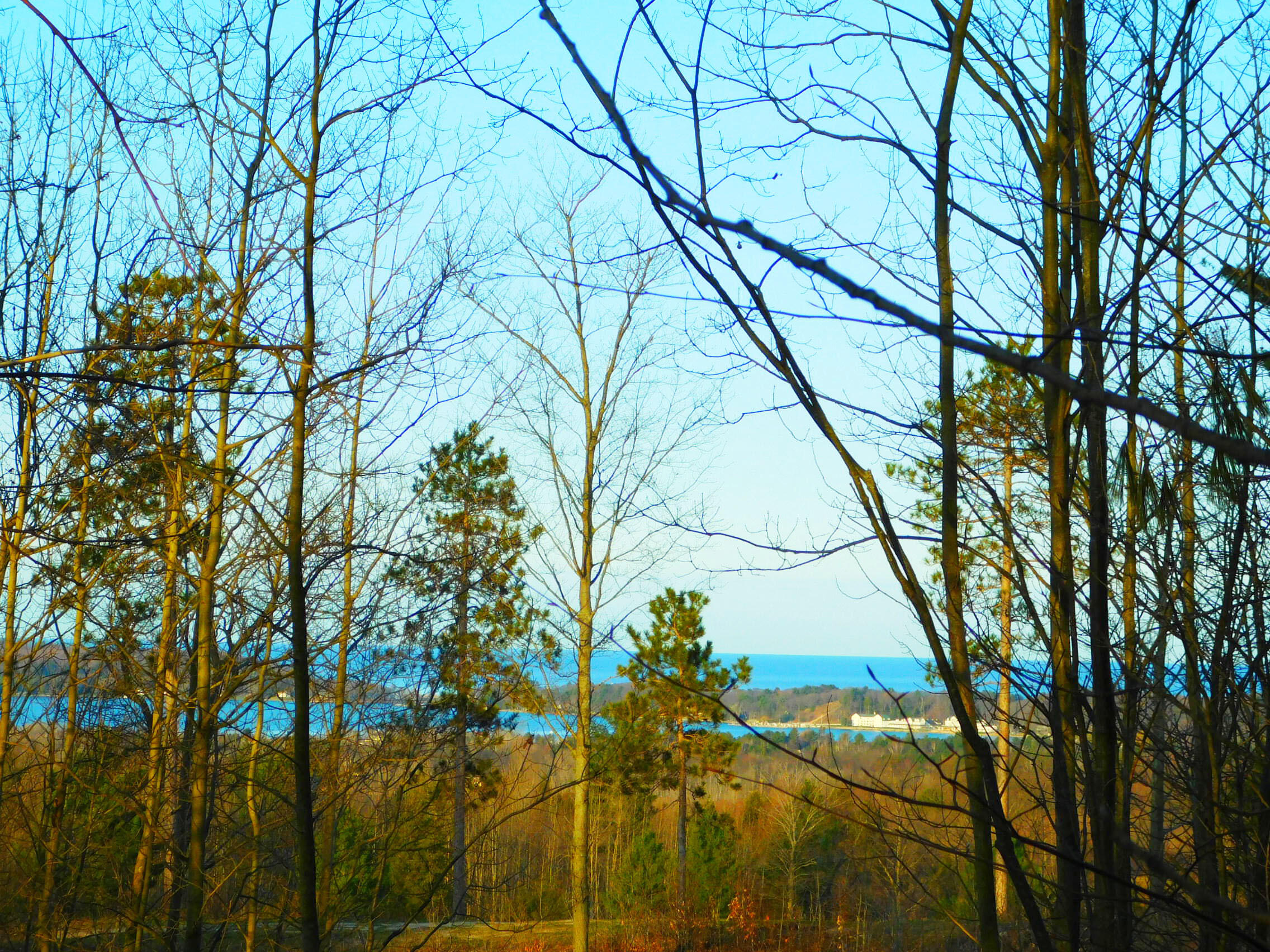 Indigo Trail Onekama, MI 49675 - Photo 8 of 21 DSCN5159