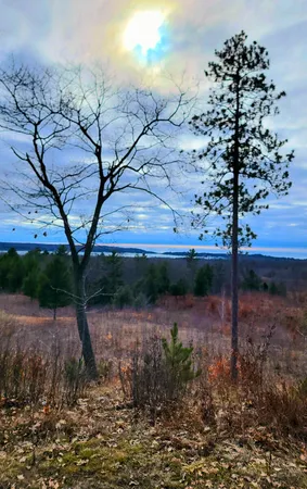$179,900 | Indigo Trail, Onekama, MI 49675