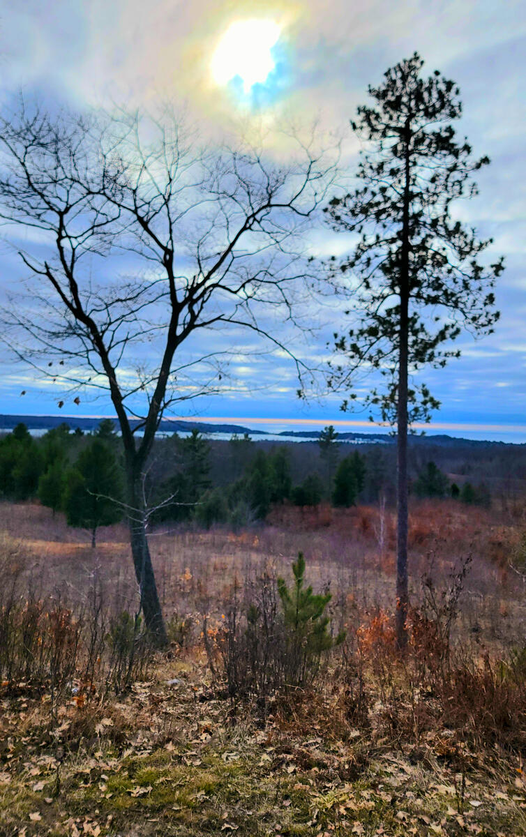 Indigo Trail Onekama, MI 49675 - Photo 9 of 21 20240307_153942