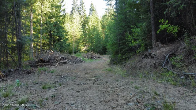 $145,000 | Nka Hells Gulch Road, St. Maries, ID 83861