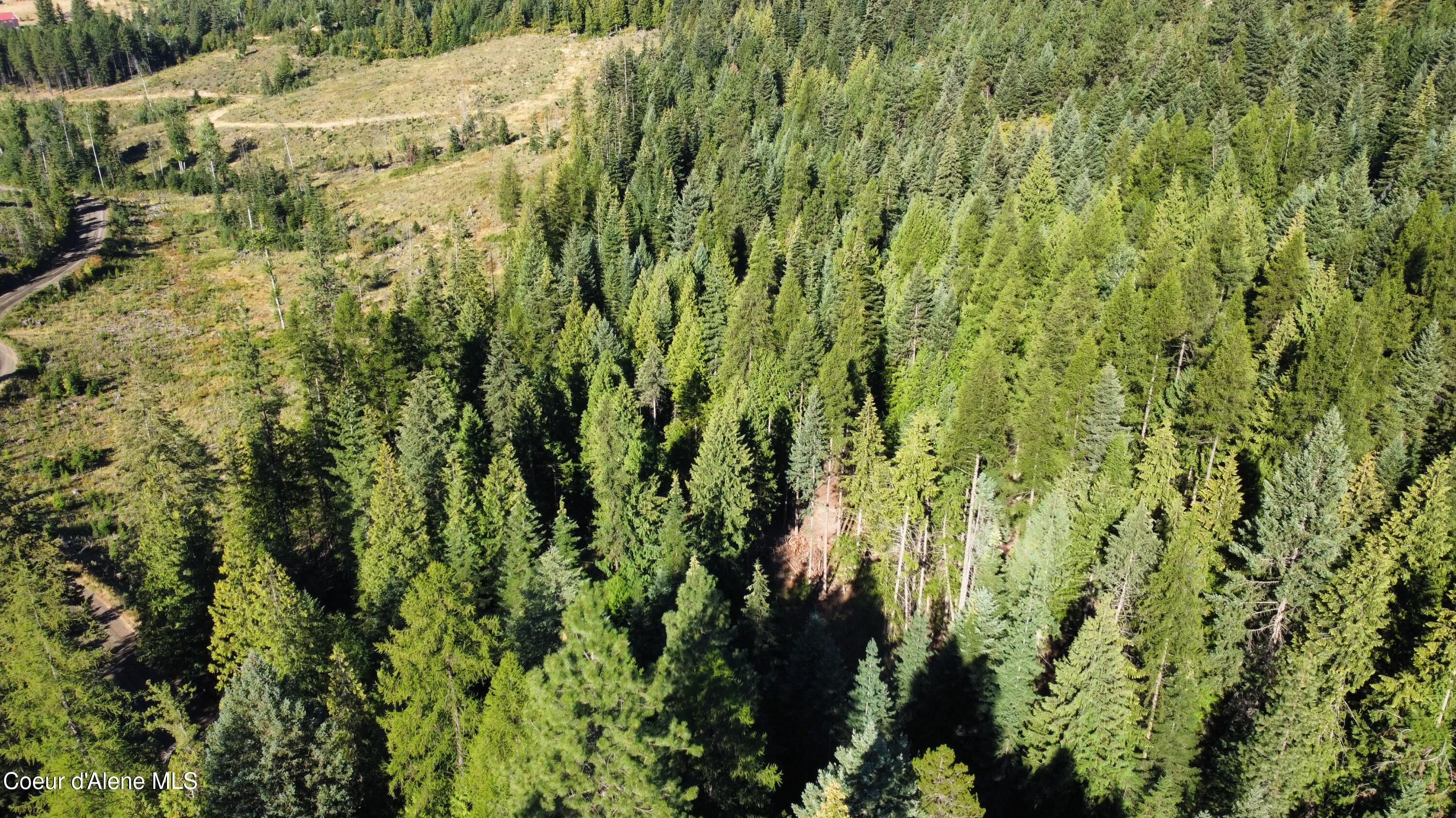 Nka Hells Gulch Road St. Maries, ID 83861 - Photo 12 of 14 dji_fly_20250812_085124_872_175501422916