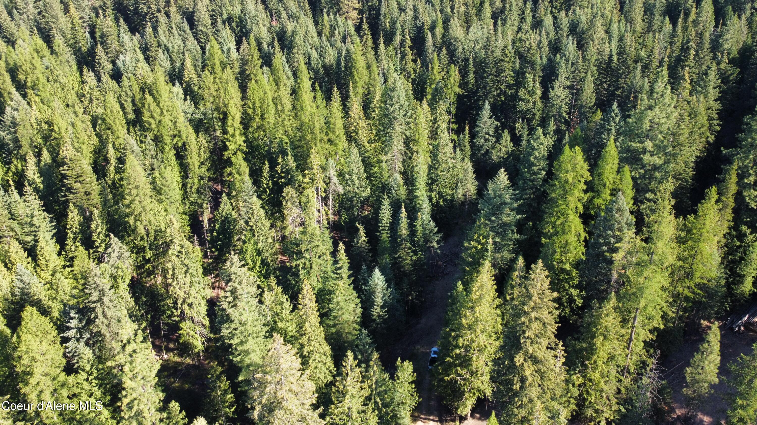 Nka Hells Gulch Road St. Maries, ID 83861 - Photo 14 of 14 dji_fly_20250812_085032_870_175501423163