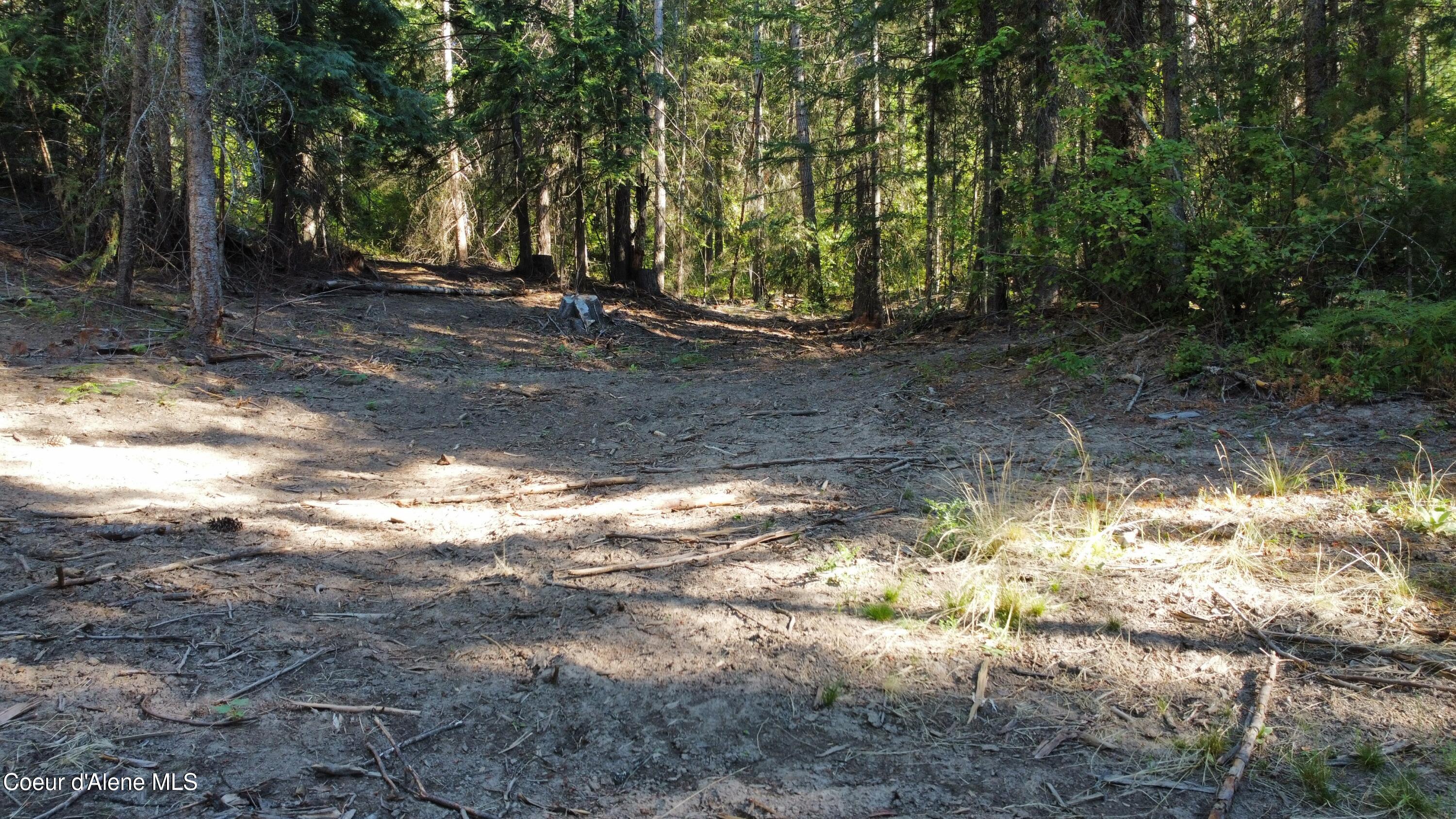 Nka Hells Gulch Road St. Maries, ID 83861 - Photo 3 of 14 dji_fly_20250812_085438_876_175501422568