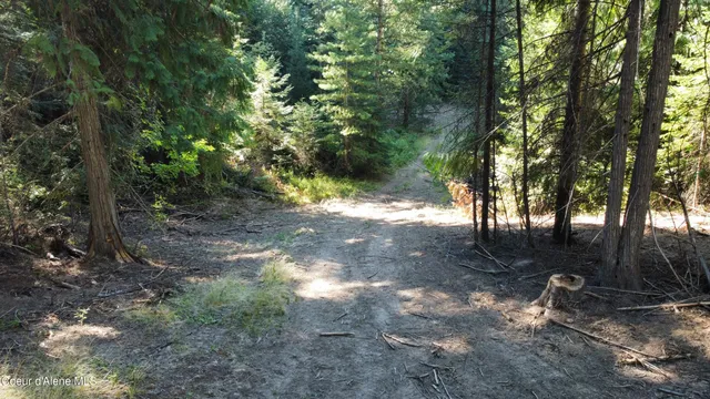 $145,000 | Nka Hells Gulch Road, St. Maries, ID 83861