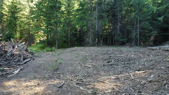 $145,000 | Nka Hells Gulch Road, St. Maries, ID 83861