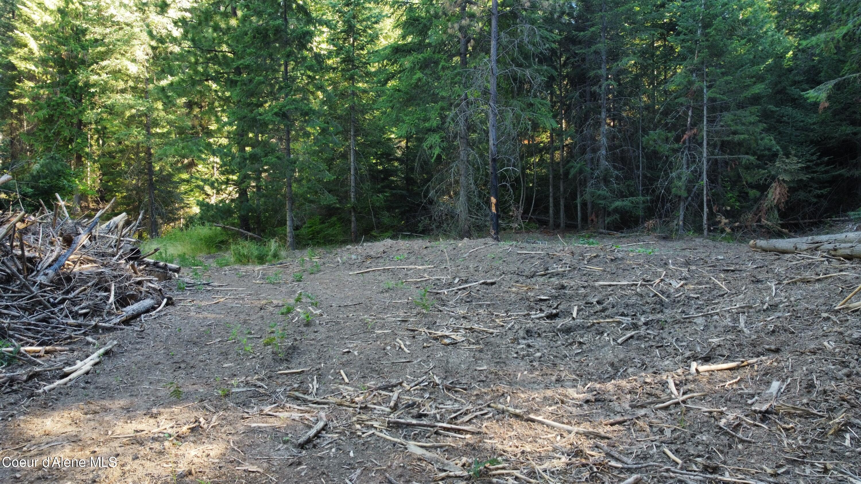 Nka Hells Gulch Road St. Maries, ID 83861 - Photo 6 of 14 dji_fly_20250812_085336_874_175501422745