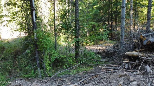 $145,000 | Nka Hells Gulch Road, St. Maries, ID 83861