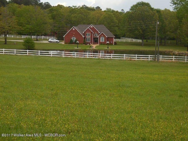 1072 Anderson Road Jasper, AL 35503 - Photo 1 of 10 Gallery Image 1